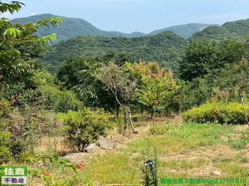 北投區大筆農地