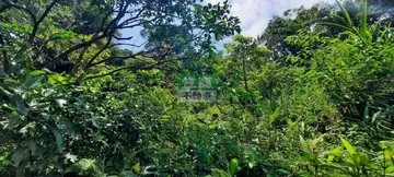 基隆七堵農+林地