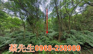 七堵大華三路種菜地