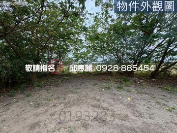 低總價虎林國中小學稀有超值甲建