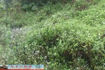 大湖汶水農牧用地