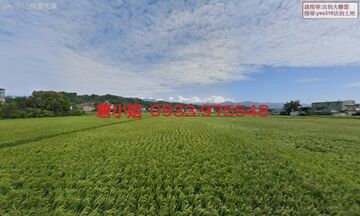 頭屋大埔園農地