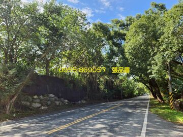 #吉安近台九丙一甲超值農地