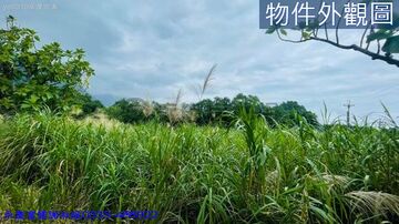 《專售》秀林下台地原保農地