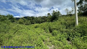 《專售》玉里麻汝段農地