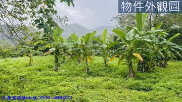 專-近鯉魚潭風光明媚原保農地