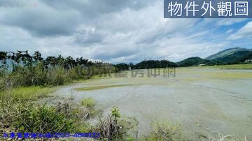 《專售》鳳林山崎段農地