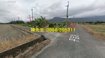 鳳林鎮平吉路休閒農地185坪