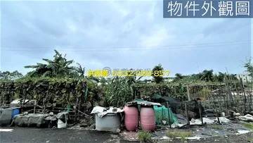 櫻花步道旁免填土漂亮小農地