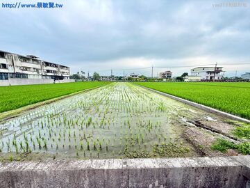 大洲國小旁優質環境小農地
