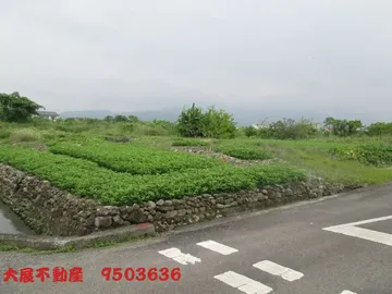 近大洲雙面路農地