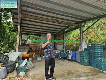 【決心賣】霧峰桐林北溝小段1甲