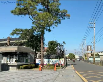 六寶國小旁農地