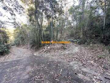 中寮分水寮林地4甲2