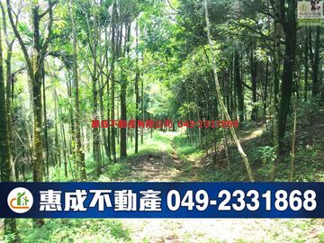 🌈國姓(北山坑營區旁梢楠園)