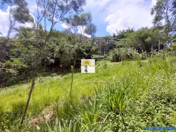 中寮中集農地B 南投農建地