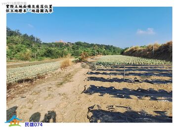 公告應買★民雄農地