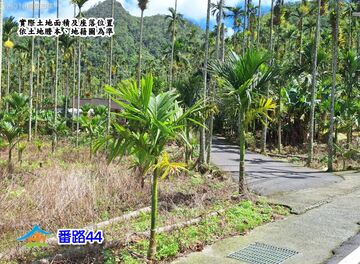 4/22特拍▲嘉義番路尖山農地