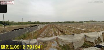 水上鄉國姓村農保地