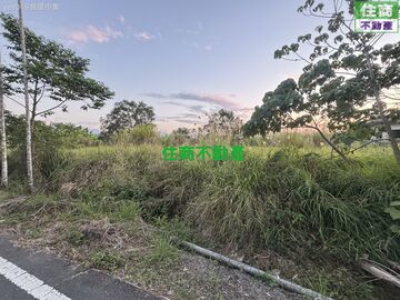 社口國小旁農地