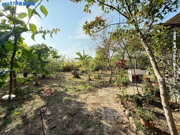 湖子內麥當勞旁方正美建地~皓婷