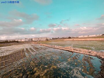嘉義果菜市場旁農地
