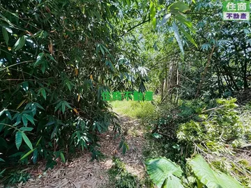 東區大筆建地(A03)