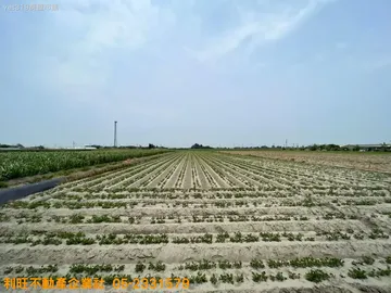 四湖雙面路小農地