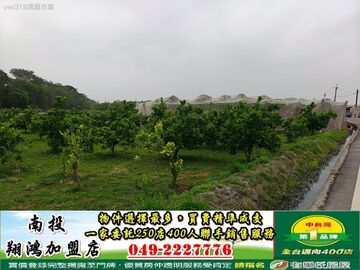 雲林林內1.25分雙面路方正農