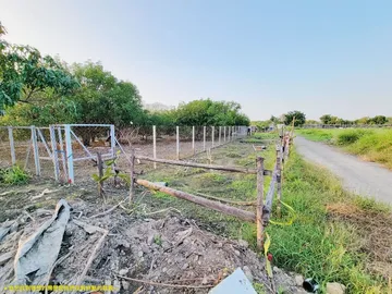 南區都內臨路開心農場