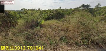 白河區河東里農保地