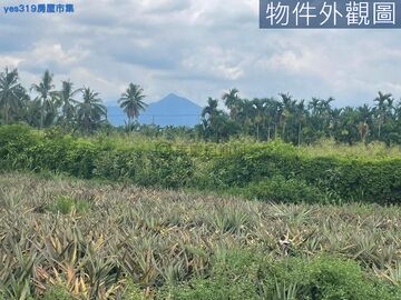 繁華大塊農地賣持分