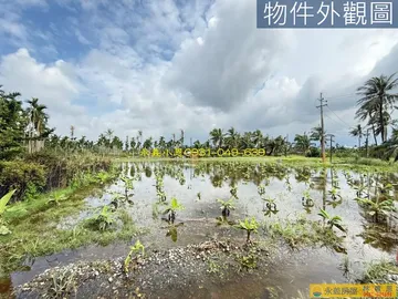 近麟洛交流道方正小農地