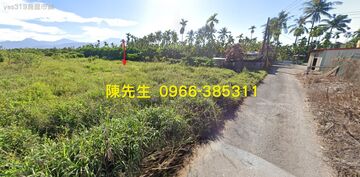 麟洛新田村休閒農地1892 坪