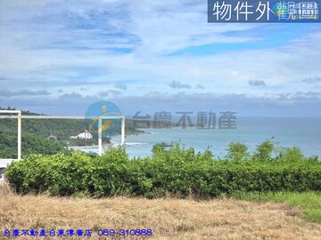 J297東海岸有水電9分農地