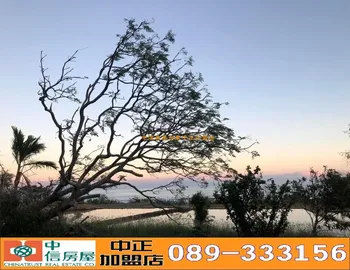 專-成功月光海美景資材室農地