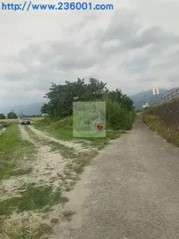 豐原橋旁農地-A