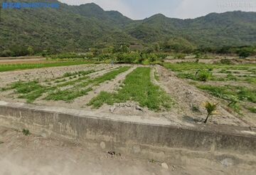 海端鄉廣原村山坡農地原保地